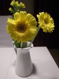 春らしいガーベラ