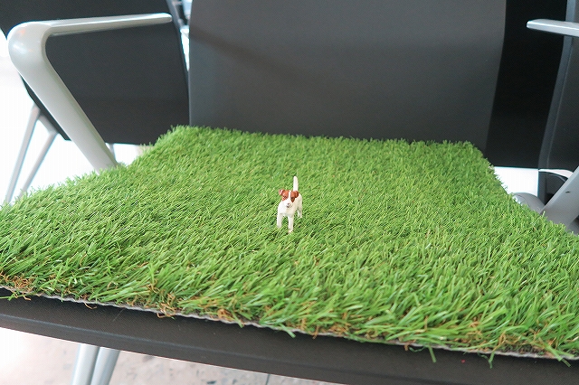 本当にここだけだぞ!!