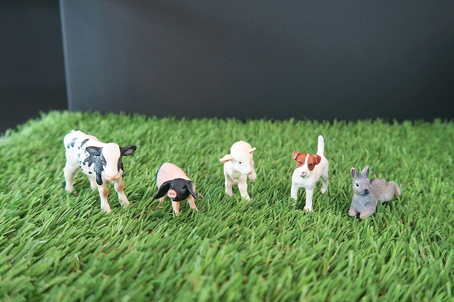 僕たちの撮影のためじゃない?