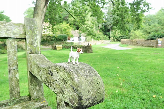 苔具合がいいだろう？