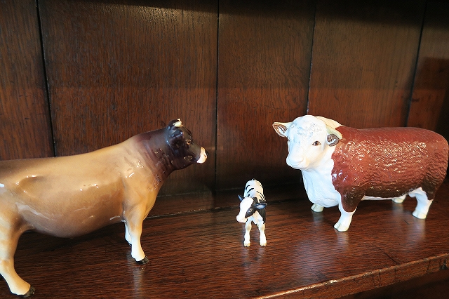 僕も写っちゃうからね！