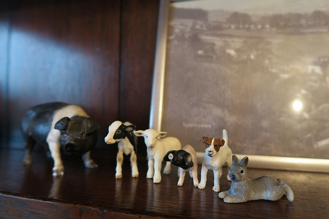 ほーら勢ぞろいだよ！