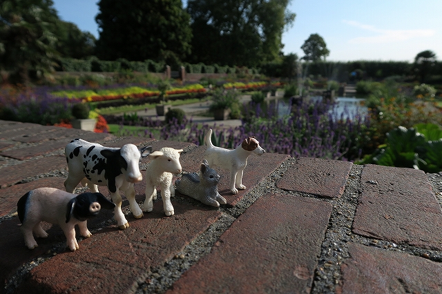 庭園と一緒にね☆