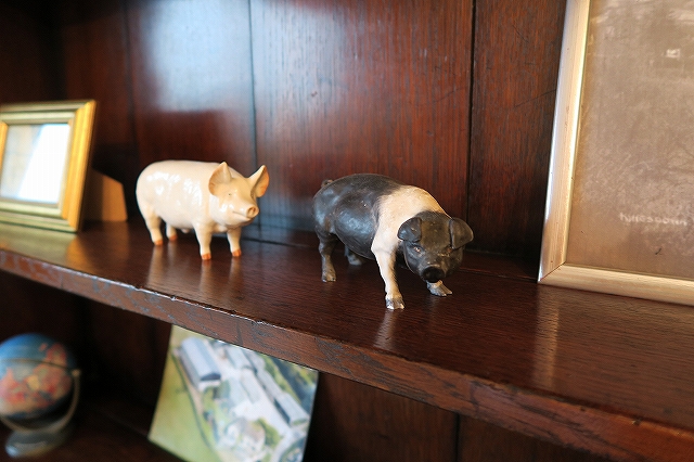 僕たちイギリスの豚だよ！