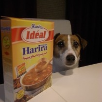 モロッコスープとウィル