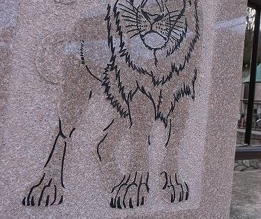 ライオンズゲート　カモン！